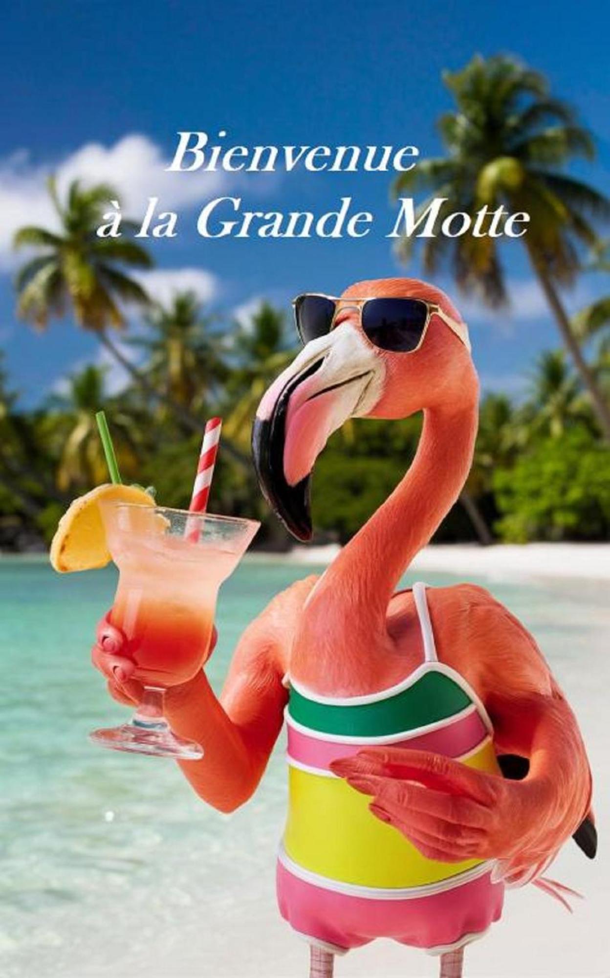 Mes Vacances A La Mer Studio 4 Pers, Parking Prive, Wifi, Linges Fournis, Climatisation La Grande Motte Luaran gambar